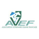 Logo AVEF