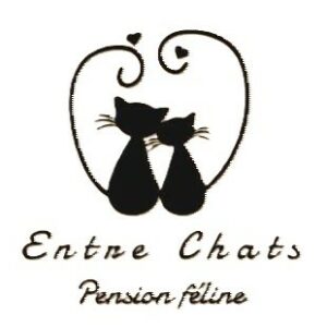 Logo pension chat Amélie